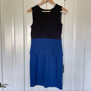 Flattering color block BCBG dress